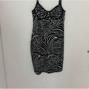 Zebra Zara dress